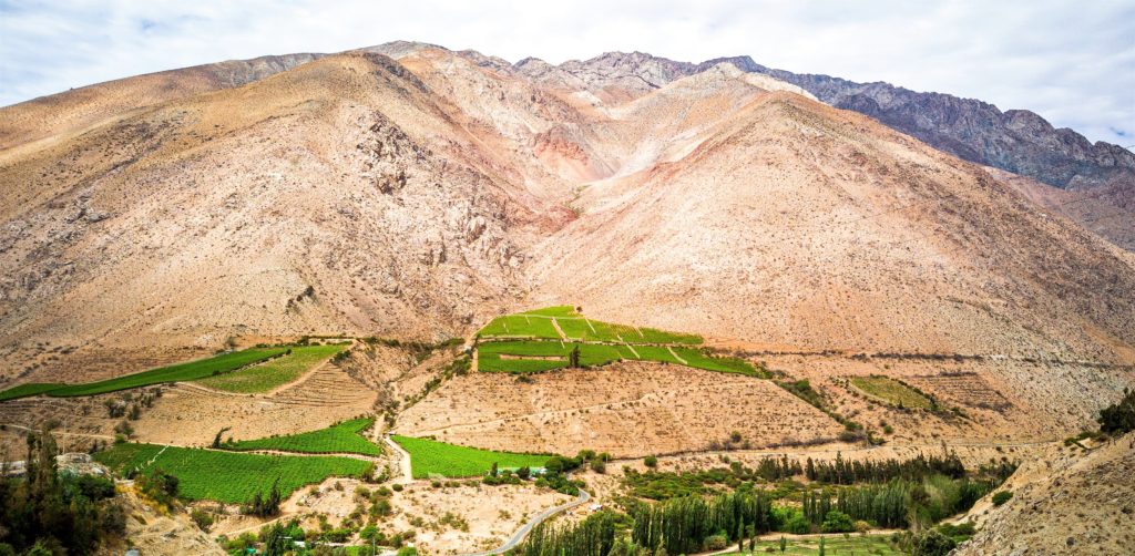 plots of green fields for winemaking in Chile set in a moutainous valley