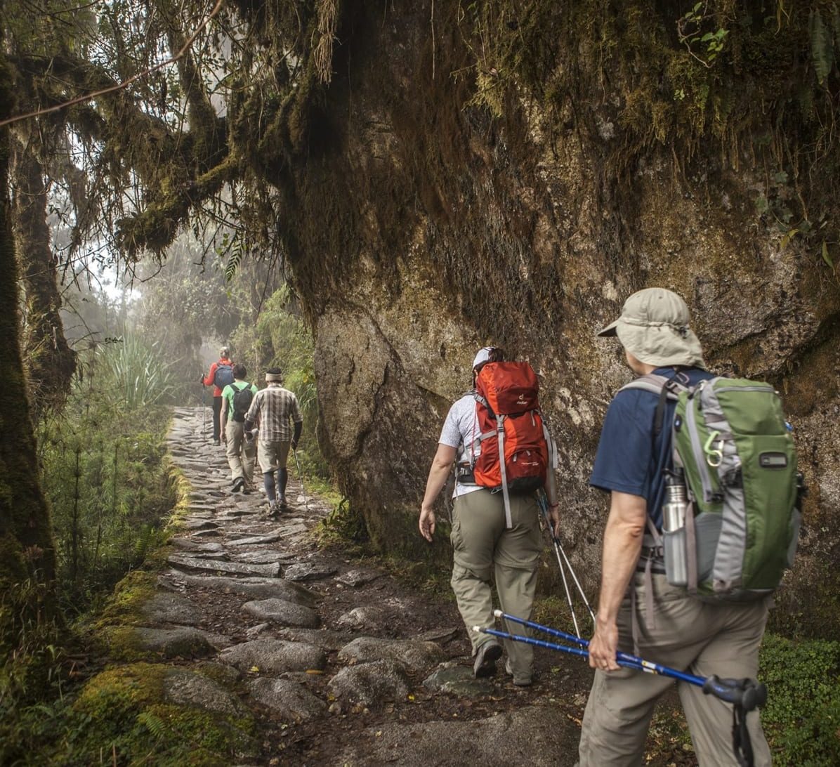 A photo of several hikers with backpacks walking on a stone path on the Inca Trail to Machu Picchu. There is a moss-laden branch hanging above them