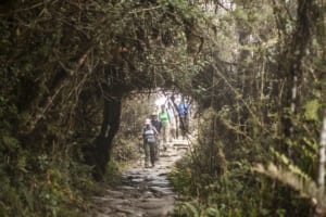 hiking-the-inca-trail-2021