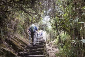 inca-trail-route