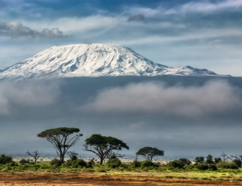 14 Things to Know Before You Climb Mount Kilimanjaro in 2024