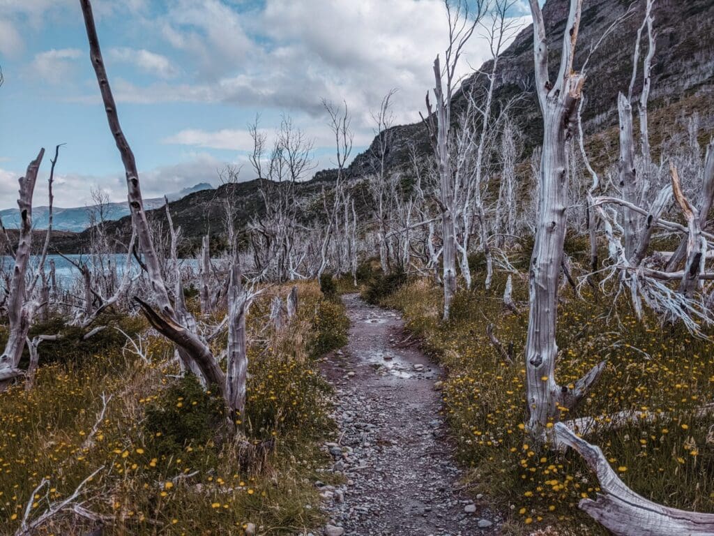 Loose gravel dirt path hiking on Torres del Paine W Trek