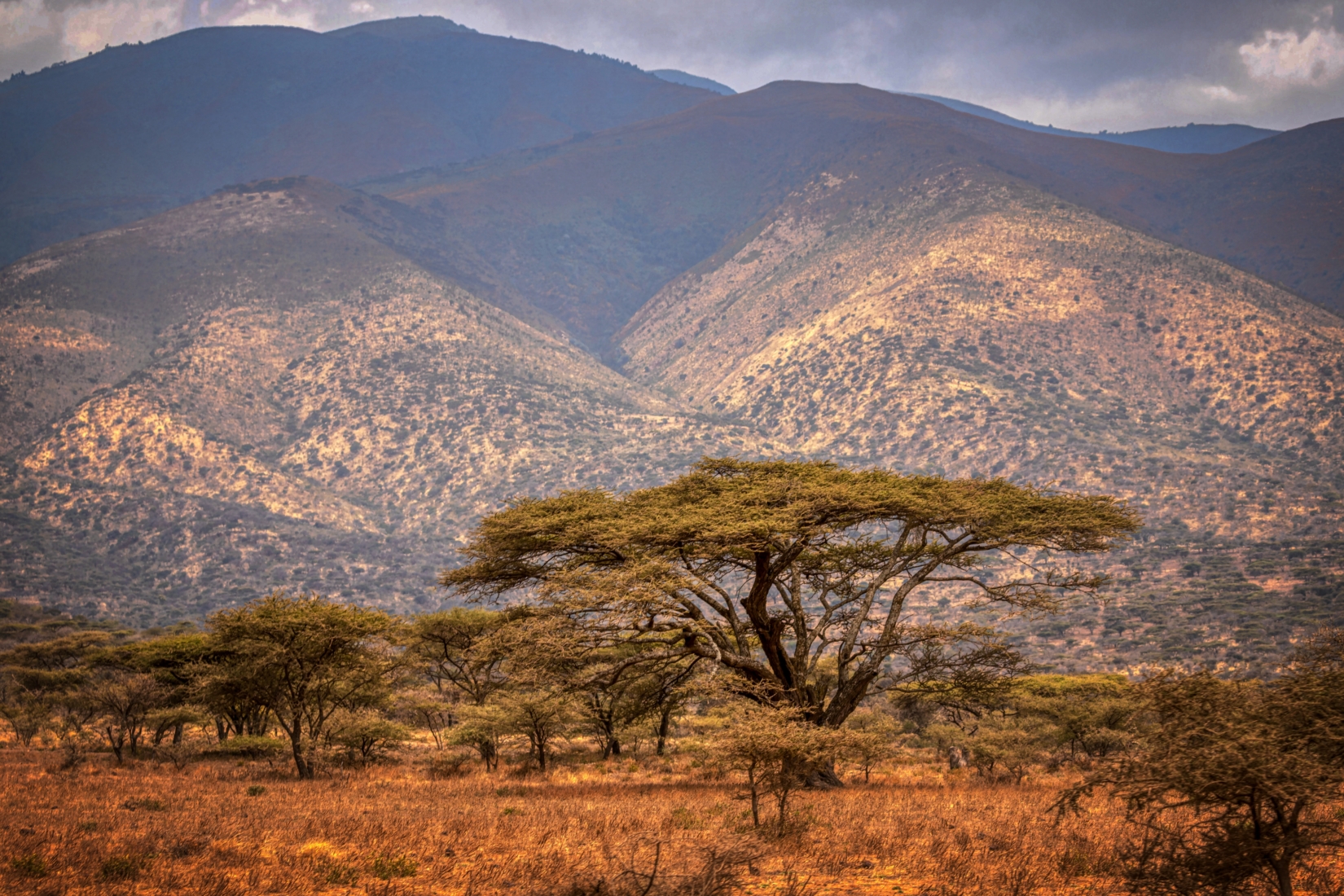 View of African mountains and trees in Moshi, Tanzania