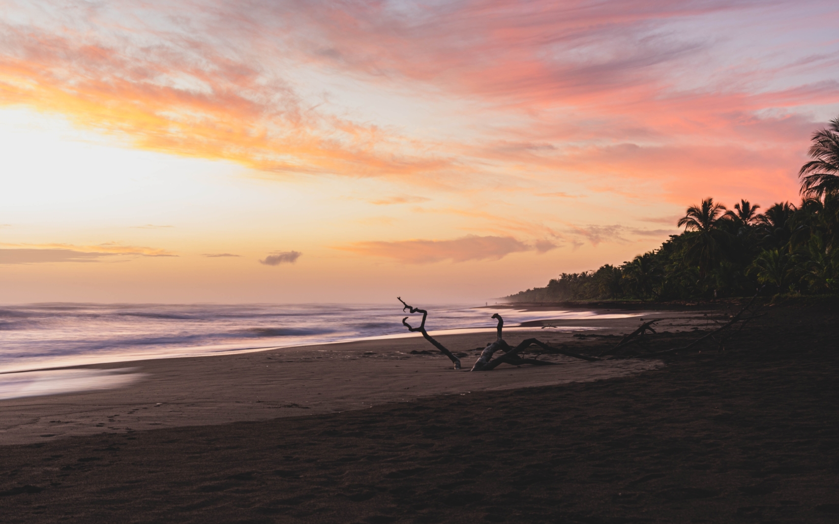 Colorful sunrise on Tortuguero beach in Costa Rica