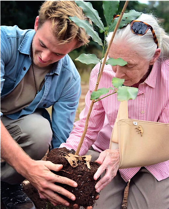 Jane Goodall in a cast planting a tree sapling with a man in Africa on a sustainability trip