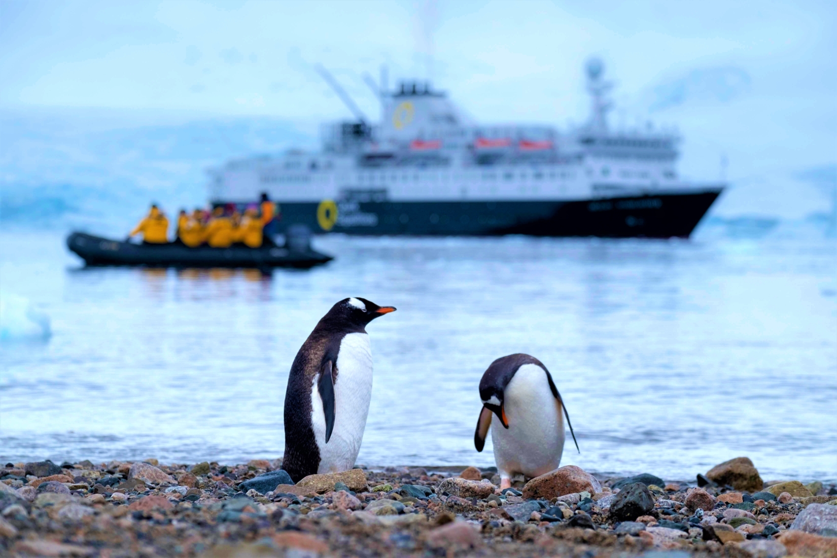 Two penguins on a rocky shore with a large ship and travelers on an inflatable boat behind them in Antarctica