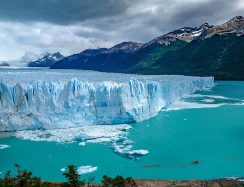 What I Wish I Knew Before Visiting Argentine Patagonia