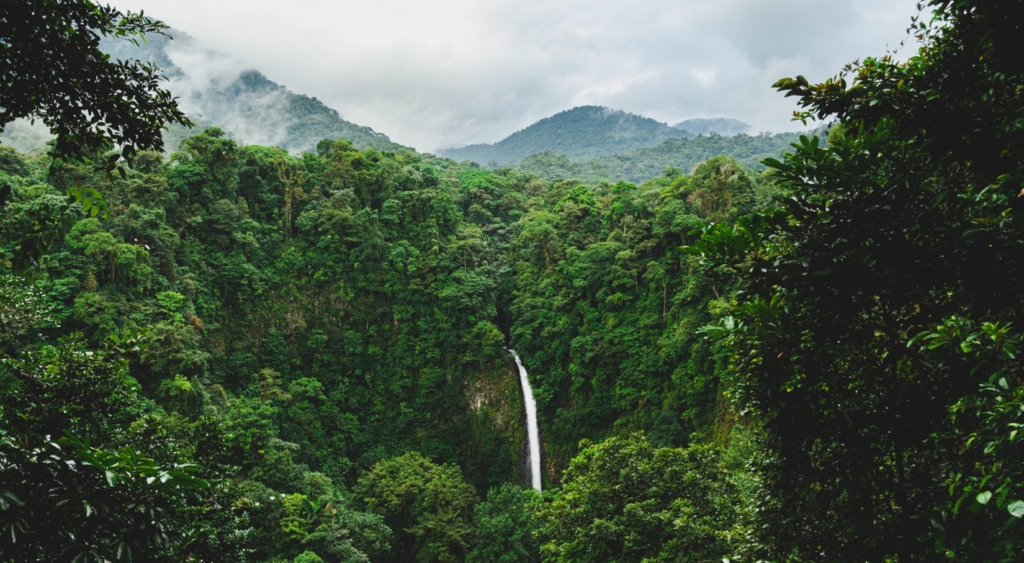 The la fortuna waterfall shoots out of the Costa Rican cloud rainforest in a dazzling display of rushing water set against a green canopy of trees