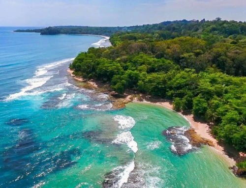 The Ultimate Travel Guide on Costa Rica in 2024