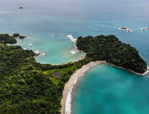A Traveler’s Handbook to Manuel Antonio in Costa Rica – Everything to Know for Your Trip
