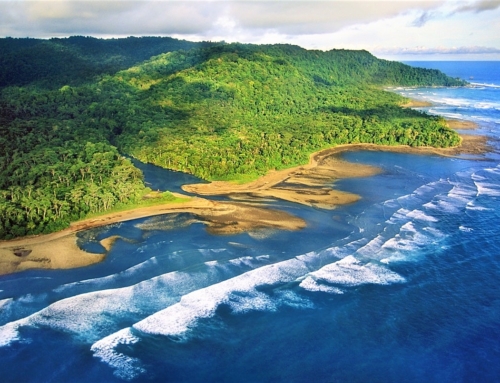 Top Attractions on the Osa Peninsula in Costa Rica