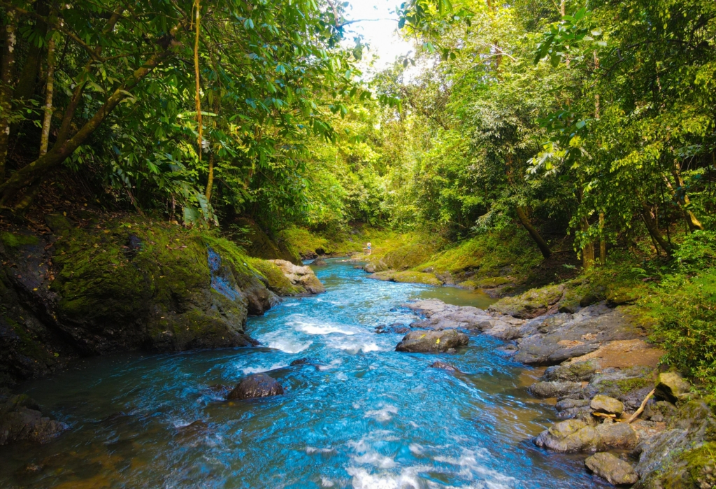 rocky river running through dense Central American rainforest