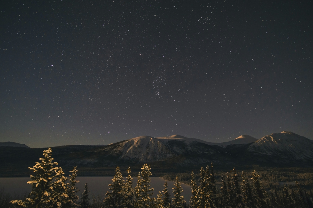 Snow-dusted pine trees and mountains in the Yukon on a starry night