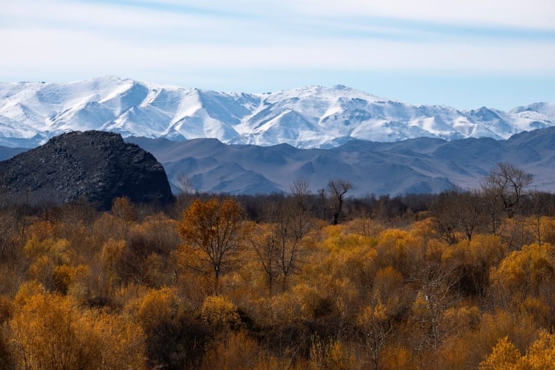 amazing mongolia tours