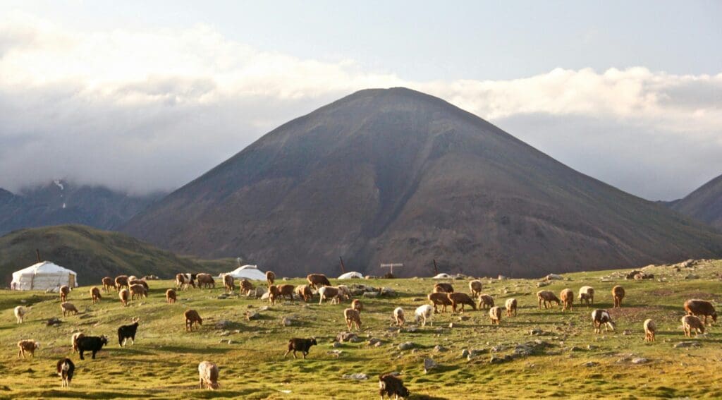 ktm tours mongolia