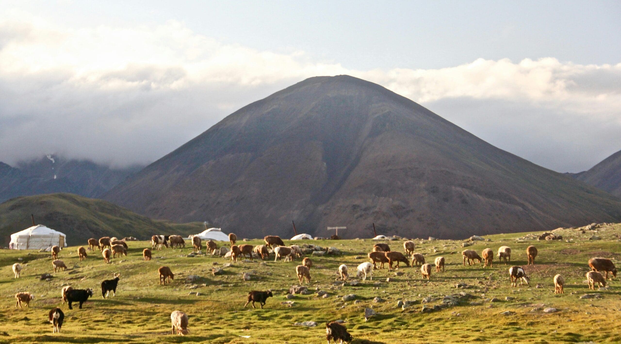 amazing mongolia tours